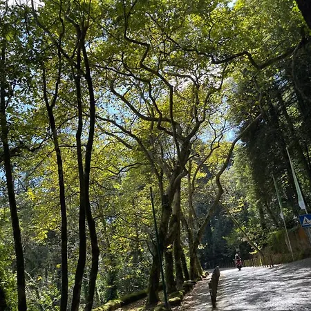 Lodge Fportugaltours *